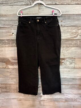 Judy Blue Black High-Rise Cropped Stretch Straight Jeans